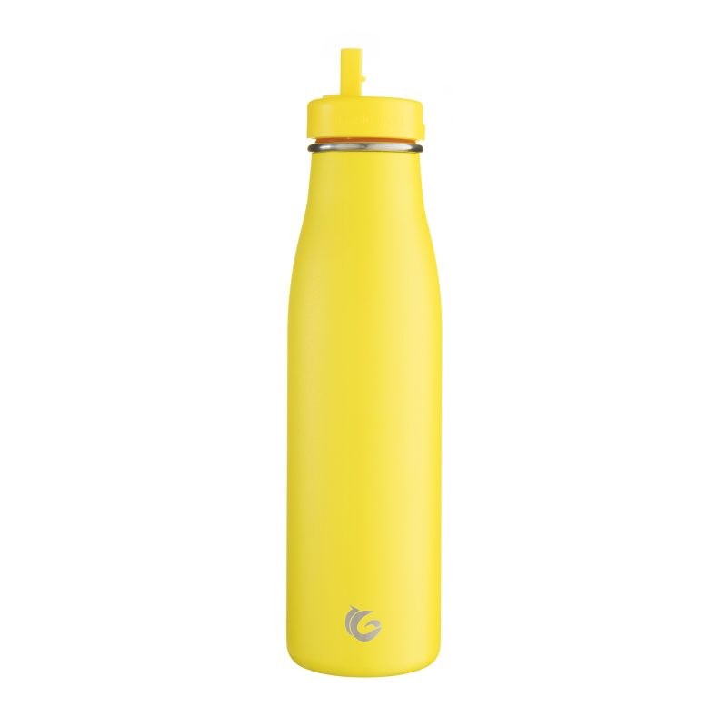 Tough Insulated Drink Bottle with Straw 500ml