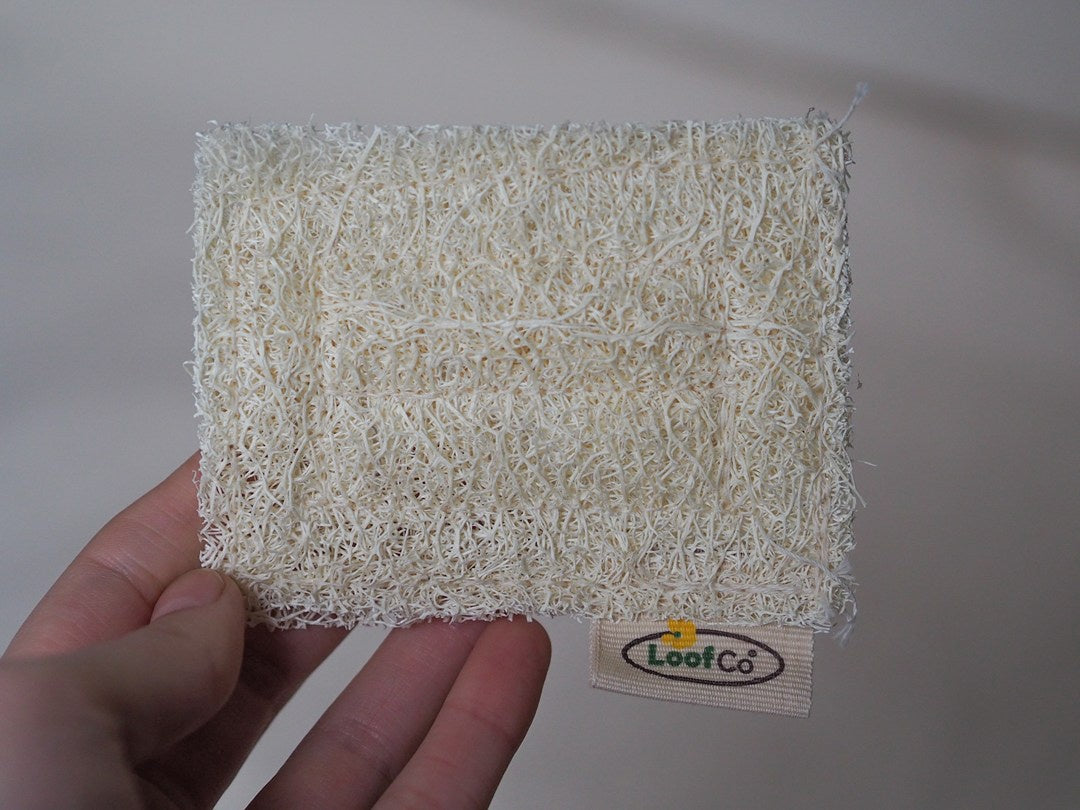 Loofco Loofah Soap Rest/Pad