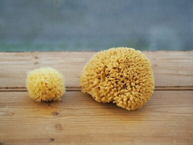 Natural Sustainably Sourced Sea Sponge - Large