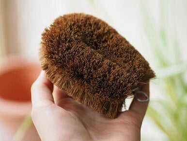 Coconut fibre scrubbing scourer brush