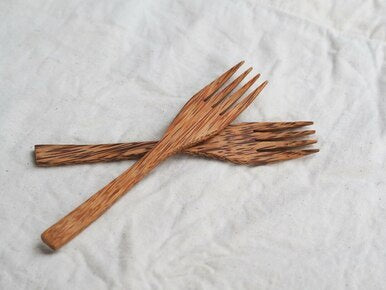 Sustainable Coconut Wood Fork