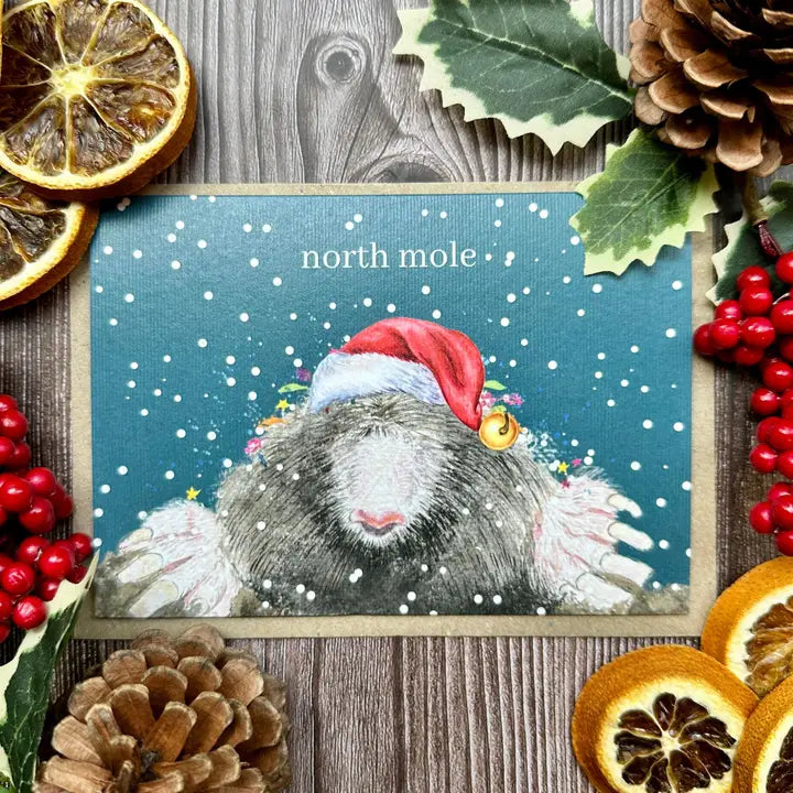 Eco Friendly Christmas Card - North Mole