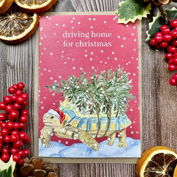 Eco Friendly Christmas Card - Christmas Tortoise