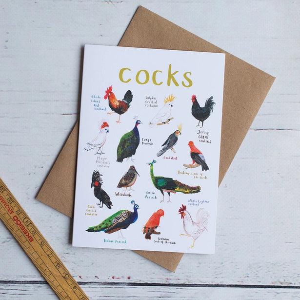 Fun Pun Greetings Cards