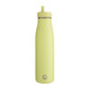 One Green Bottle Insulated - 500ml - Dirty Martini