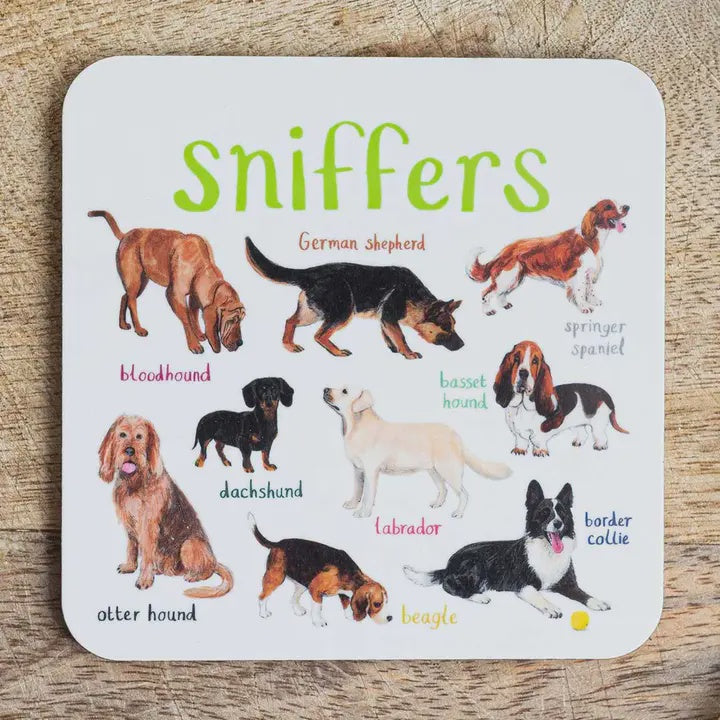 Fun Pun - Coaster - Sniffers