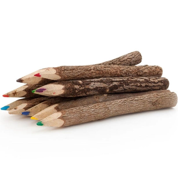 Wooden Twig Pencils Coloured